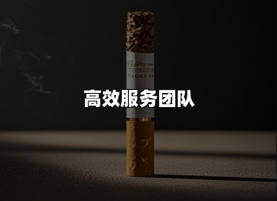 专业优势